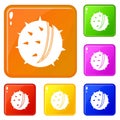 Chestnut icons set vector color