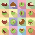 Chestnut icons set flat vector. Horse food