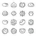 Chestnut icons set outline vector. Horse food