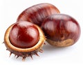 Detailed Macro Of Chestnut On White Surface Royalty Free Stock Photo