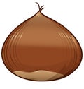 Chestnut isolated