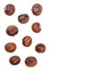 Chestnut isolated on white background with copy space for your text. Top view. Flat lay Royalty Free Stock Photo