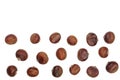 Chestnut isolated on white background with copy space for your text. Top view. Flat lay Royalty Free Stock Photo