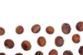 Chestnut isolated on white background with copy space for your text. Top view. Flat lay Royalty Free Stock Photo
