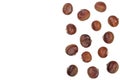 Chestnut isolated on white background with copy space for your text. Top view. Flat lay Royalty Free Stock Photo