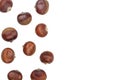 Chestnut isolated on white background with copy space for your text. Top view. Flat lay Royalty Free Stock Photo