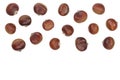 Chestnut isolated on white background with copy space for your text. Top view. Flat lay Royalty Free Stock Photo