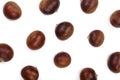 Chestnut isolated on white background. Top view Royalty Free Stock Photo