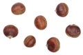 Chestnut isolated on white background. Top view. Flat lay Royalty Free Stock Photo