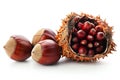 A chestnut with its shell open and three chestnuts next to it isolated on a white background