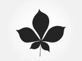Chestnut leaf silhouette. nature and plant design element Royalty Free Stock Photo