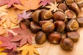 Chestnut and maple leave Royalty Free Stock Photo