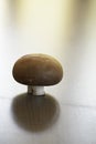 Chestnut mushroom Royalty Free Stock Photo