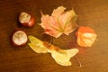 Chestnut, physalis and autumn leaves Royalty Free Stock Photo