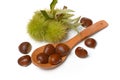 Chestnut pile with hedgehog - white background - closeup