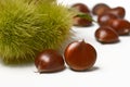 Chestnut pile with hedgehog - white background - closeup