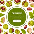 Chestnut Plant Banner Design with Brown Fruit in Green Spiky Husk Vector Template