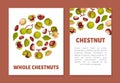 Chestnut Plant Banner Design with Brown Fruit in Green Spiky Husk Vector Template