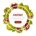 Chestnut Plant Banner Design with Brown Fruit in Green Spiky Husk Vector Template