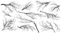 Chestnut, poplar, maple, oak and etc. branches trees. Set of silhouettes. Vector illustration