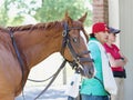 Posse Can Disco being Saddled in the Paddock