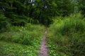 Chestnut Ridge Park Eternal Flame Falls Royalty Free Stock Photo