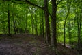 Chestnut Ridge Park Eternal Flame Falls Royalty Free Stock Photo