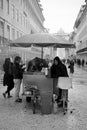 Chestnut Seller, Lisbon