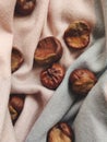 Chestnut on the soft background