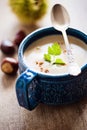 Chestnut soup Royalty Free Stock Photo