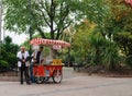 Chestnut stall Istanbul