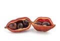 Chestnut or sterculia monosperma fruits isolated on white surface with clipping path