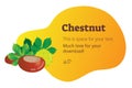 Chestnut vector illustration, isolated group of objects. Blank space for text. Modern yellow gradient copyspace background.