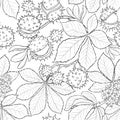 Chestnut vector pattern