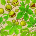 Chestnut vector pattern