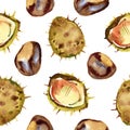 Chestnut walnut watercolor seamless pattern. Isolated illustration on white background.