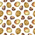 Chestnut walnut watercolor seamless pattern. Isolated illustration on white background.