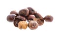 Chestnut, on white background