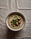 chestnut and wild mushroom soup with fresh herbs. Royalty Free Stock Photo