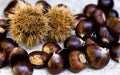 Chestnuts