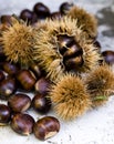 Chestnuts