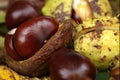 Chestnuts