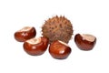 Chestnuts Royalty Free Stock Photo