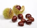 Chestnuts Royalty Free Stock Photo