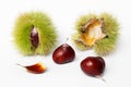 Chestnuts