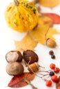 Chestnuts, acorn, autumn leaves, berry and pumpkin