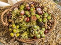 Chestnuts and acorns in the basket Royalty Free Stock Photo