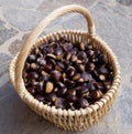 Chestnuts in a basket Royalty Free Stock Photo