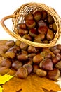 Sweet chestnuts in basket. Royalty Free Stock Photo