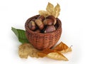 Chestnuts in a basket with autumn leaves Royalty Free Stock Photo